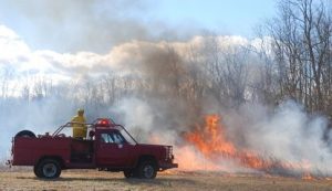 Controlled Forest Fire and CO2 level