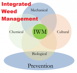 IWM practices to manage herbicide residue