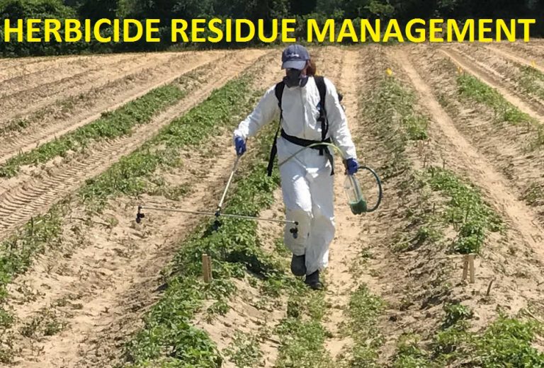 20 Ways to Manage Herbicide Residues | 16th is the Best!
