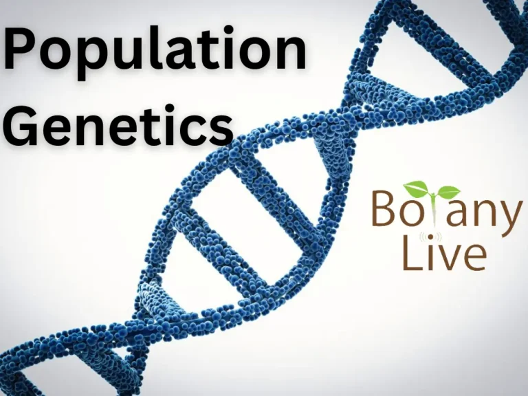 Population Genetics – PPTs and Related FAQs