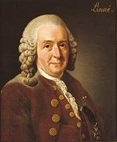 Carl Linnaeus - BotanyLive