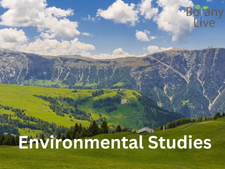 Environmental Science | Scope, Elements, and Importance