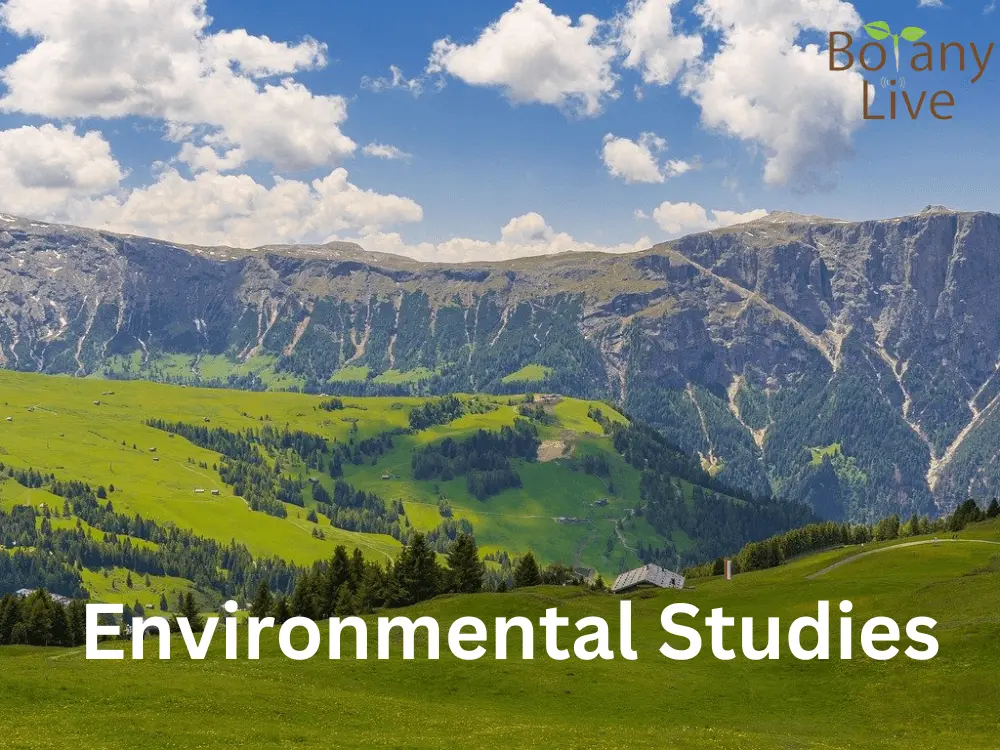 What Is Environmental Study? Scope, Elements, And Importance