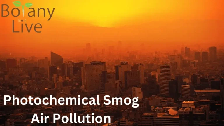 How Photochemical Smog Forms | Effects, and Solution – PPTs
