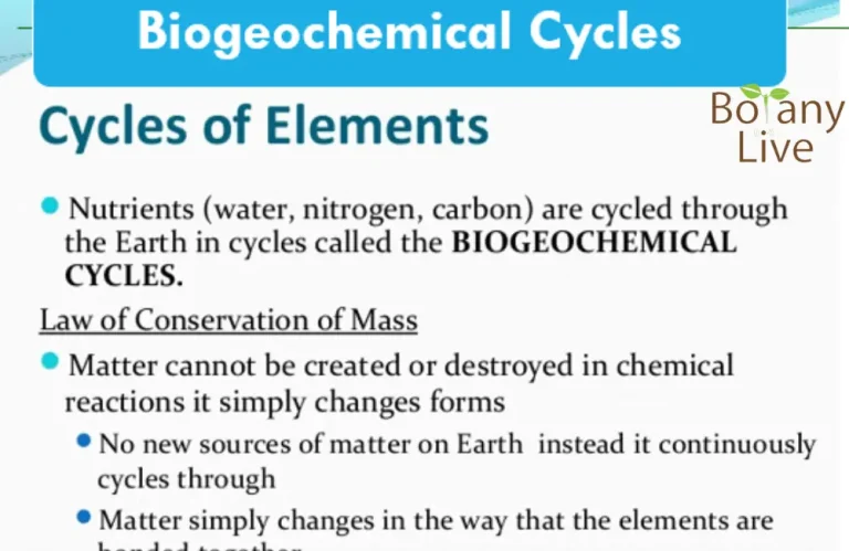 Biogeochemical cycles | Carbon Cycle | Nitrogen Cycle | Water Cycle