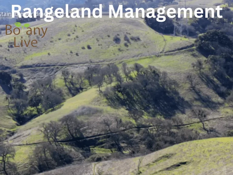 Rangeland Management | Rangeland, Importance and Limitation