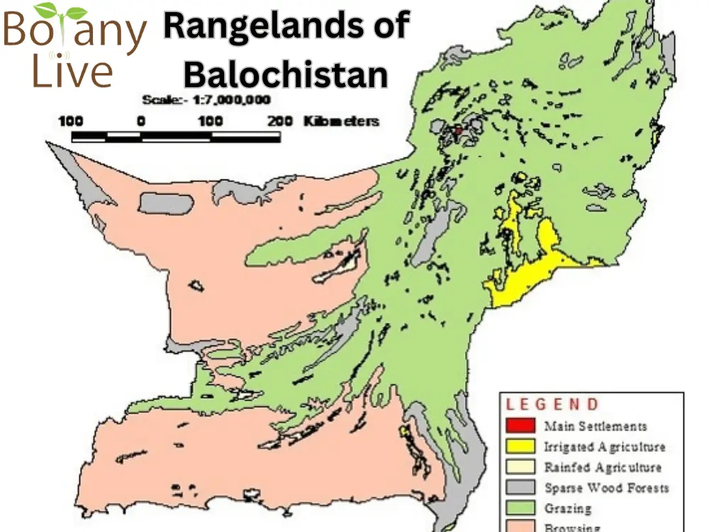 Rangelands of Balochistan