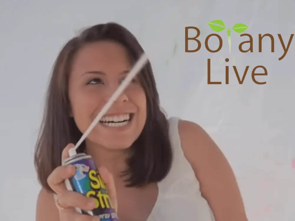 Is silly string Biodegradable? Propulsion and Uses