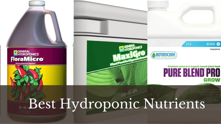8 Best Hydroponic Nutrients for Vegetables and Fruits – 2023