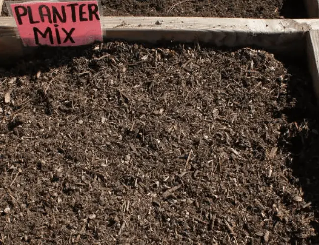 DIY Planter Mix Soil (Potting Soil)- How to Make it Useful | Importance