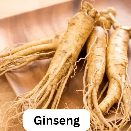 Ginseng - Hydroponic Profitable Rooty Crops