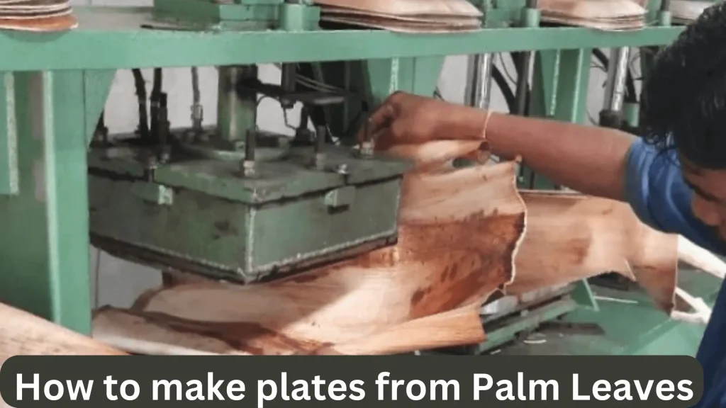 Palm leaf vs. bamboo plates - Manufacturing
