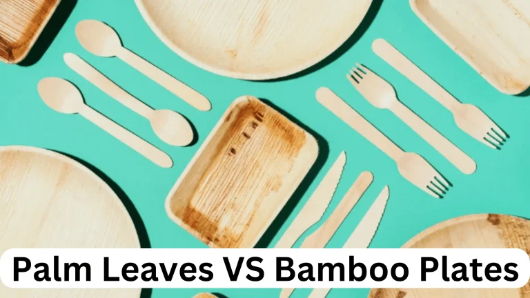 Palm Leaf vs Bamboo Plates | 8 Reasons to Select the Best