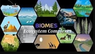 Boundaries of Ecosystem Complex